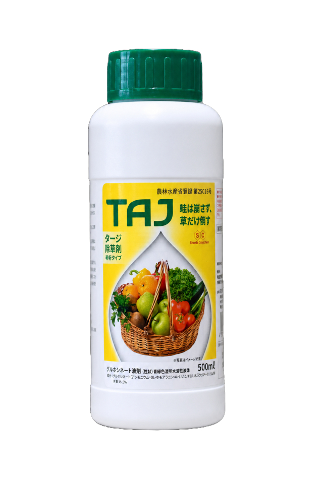 TAJ（タージ）